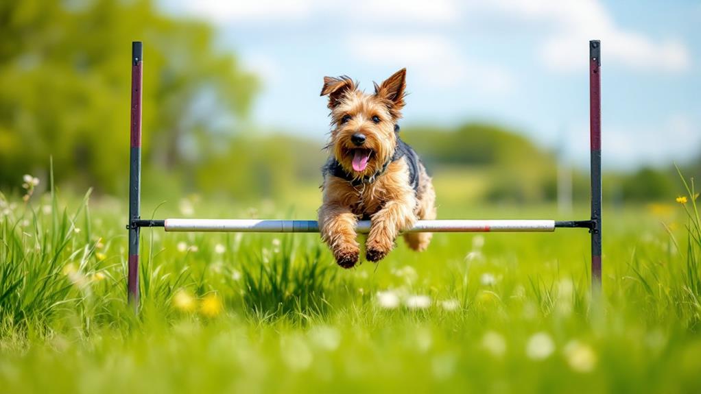 fitness and development requirements