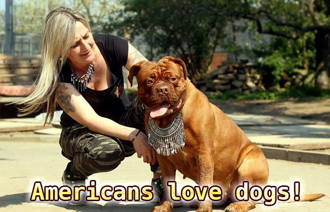 Americans love dogs