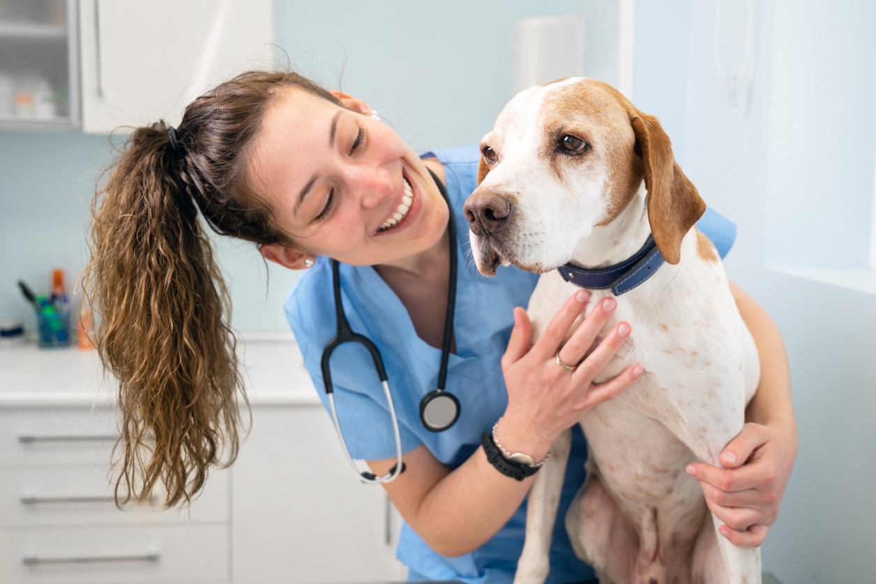 Young happy veterinary nurse smiling while playing with a dog. High quality photo