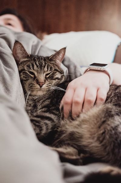 Animals Images & Pictures, Watch, Hand