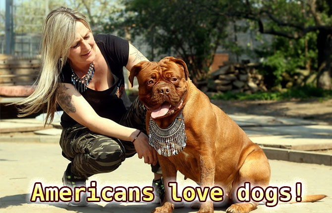 Americans-love-dogs