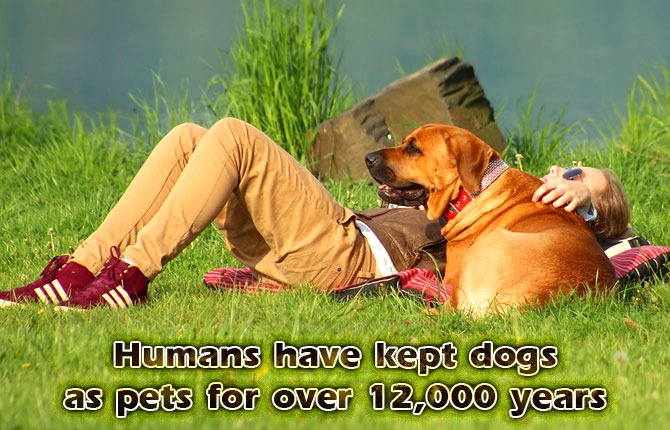 Humans-have-kept-dogs-as-pets-for-over-12000-years