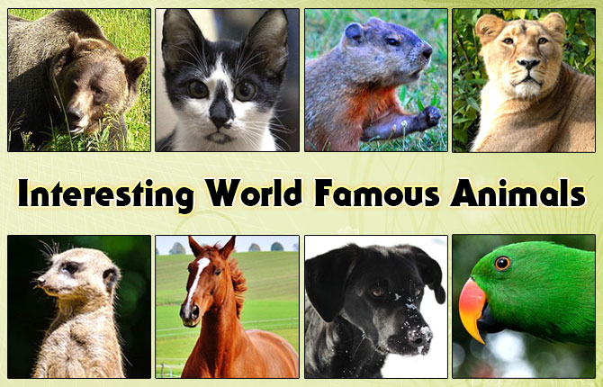 Interesting World Famous Animals
