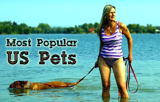 Most Popular US Pets