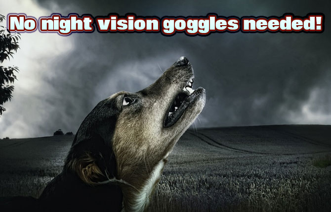 No-night-vision-goggles-needed