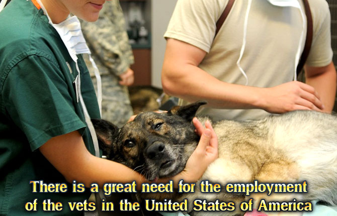 There-is-a-great-need-for-the-employment-of-the-vets-in-the-United-States-of-America