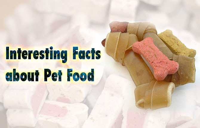 Interesting Facts about Pet Food