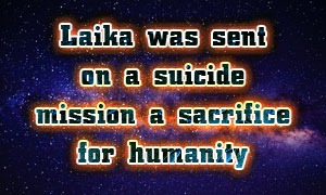 Laika was sent on a suicide mission – a sacrifice for humanity