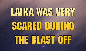 Laika was very scared during the blast off