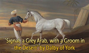 "Signal, a Grey Arab, with a Groom in the Desert" by Dalby of York