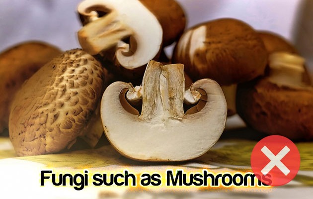 Fungi such as mushrooms