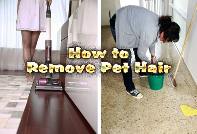 How to Remove Pet Hair
