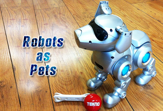 Robots as Pets
