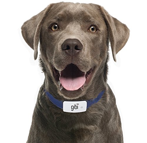 GIBI 2nd Gen Pet GPS Tracker