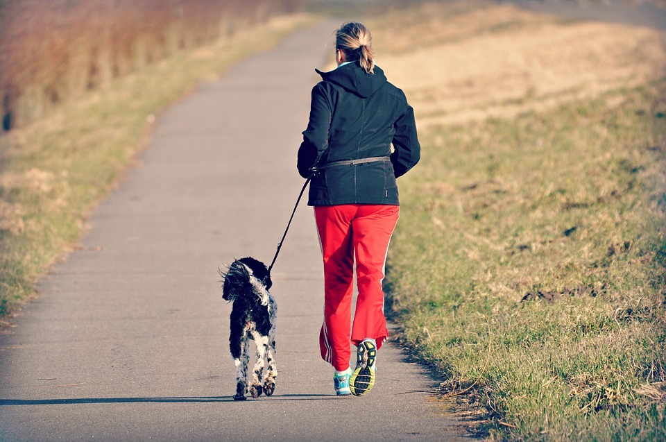 a woman walking with a dog on a track