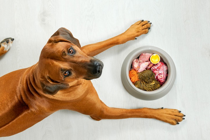 Diet For Dogs