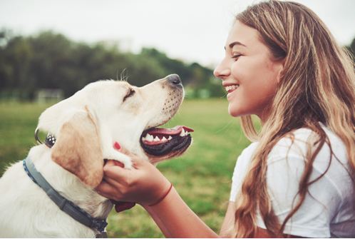 How to Keep Your Dog Healthy: 13 Top Tips for a Happy, Healthy Dog