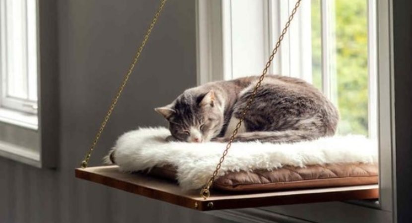 Cat bed ideas- have some detail…