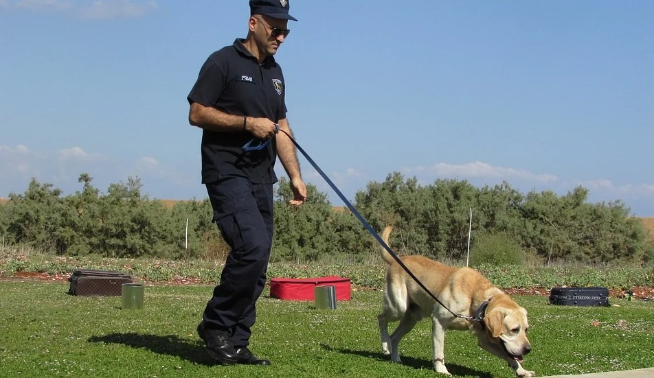A police dog with a police officer