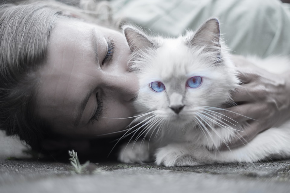 grayscale picture, woman kissing a cat, cat with blue eyes