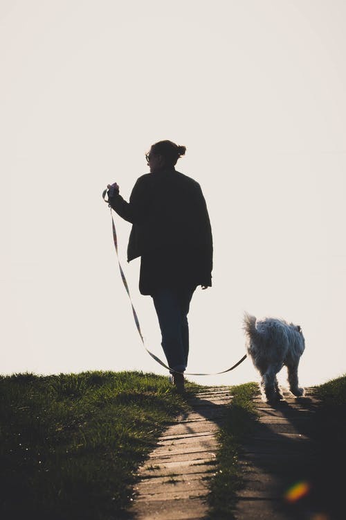 Owner and dog walking