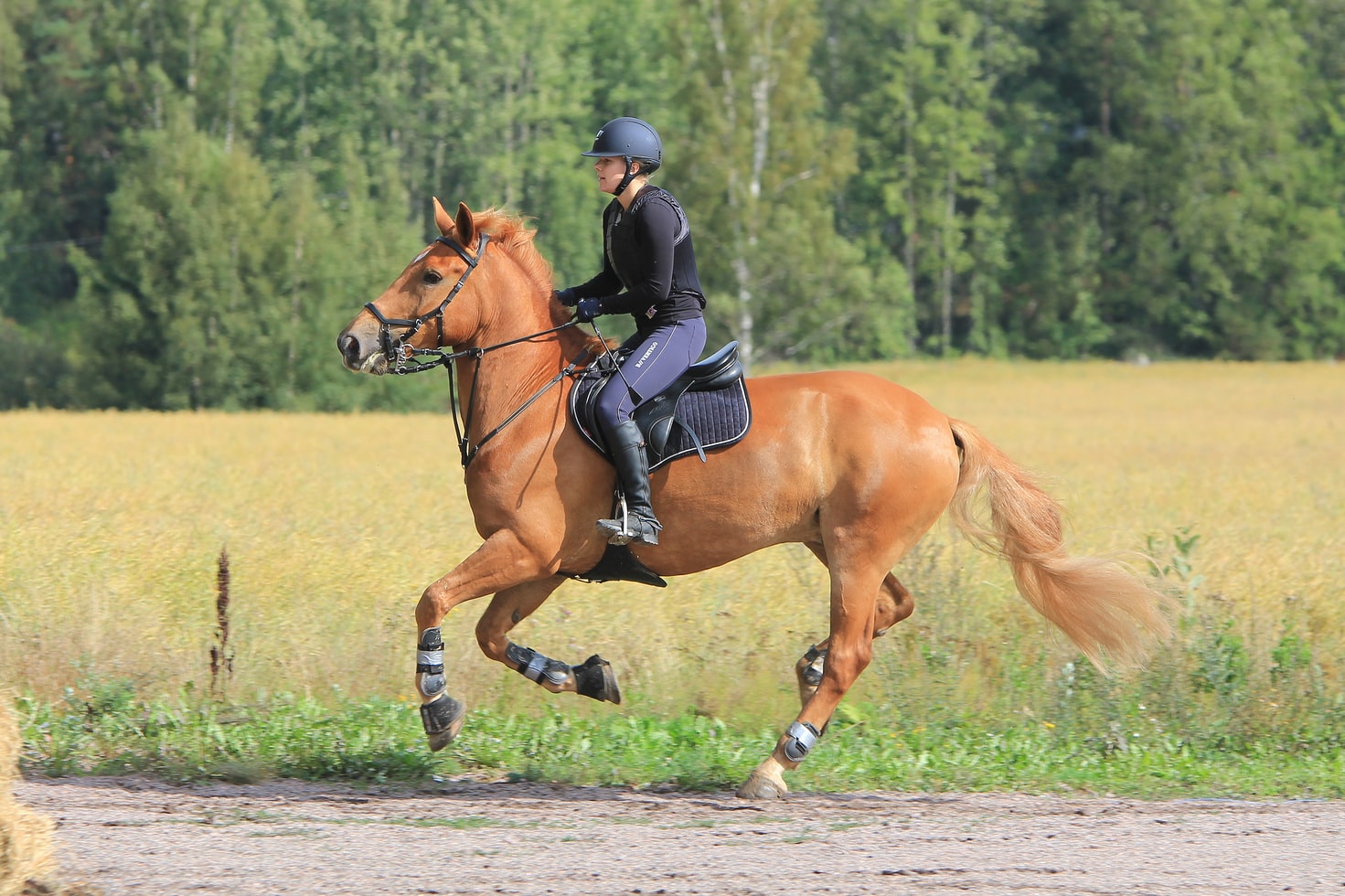 3 Expert Horse Riding Tips Every Beginner Should Know