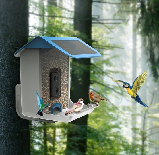Bird lovers, you need this smart bird feeder camera