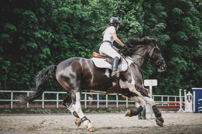 Must-Have Accessories When Riding a Horse