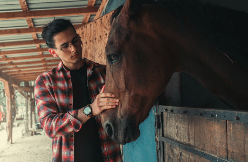 Signs Your Horse Trusts and Likes You