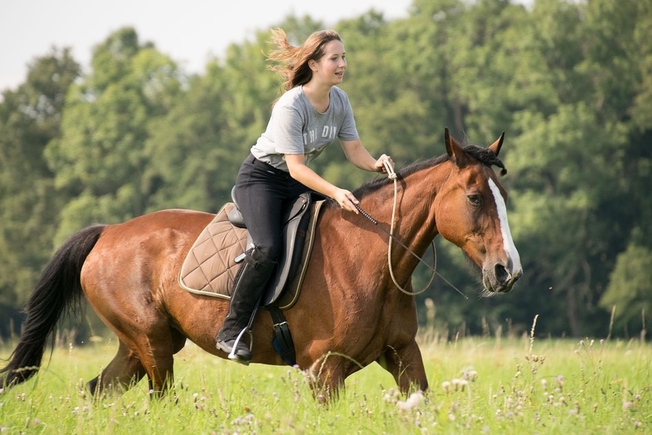 Tips on How to Safely Ride a Horse in the Mountains