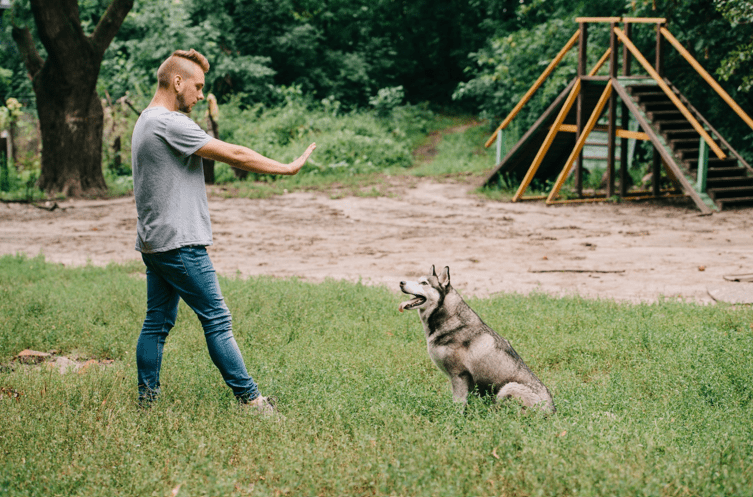 The Best Montgomery, Alabama Dog Training
