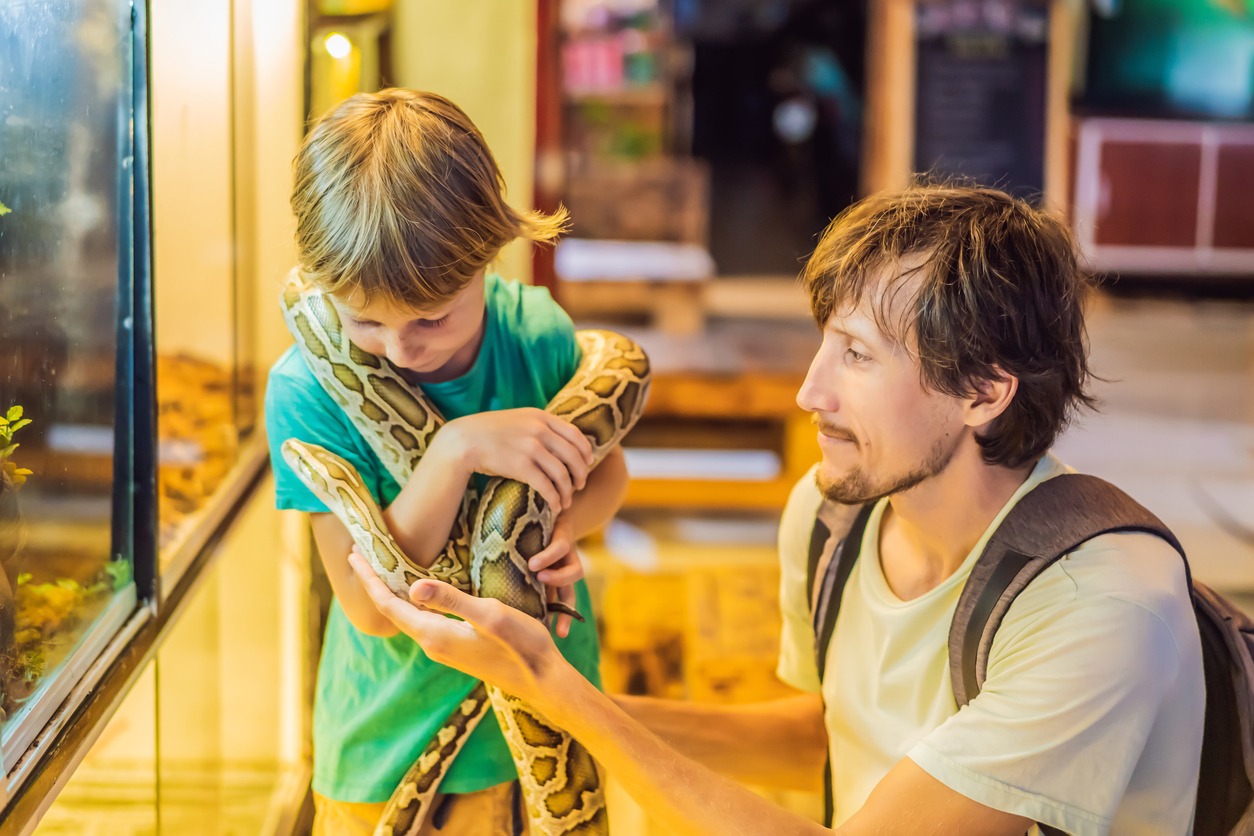 boy and father holding a python