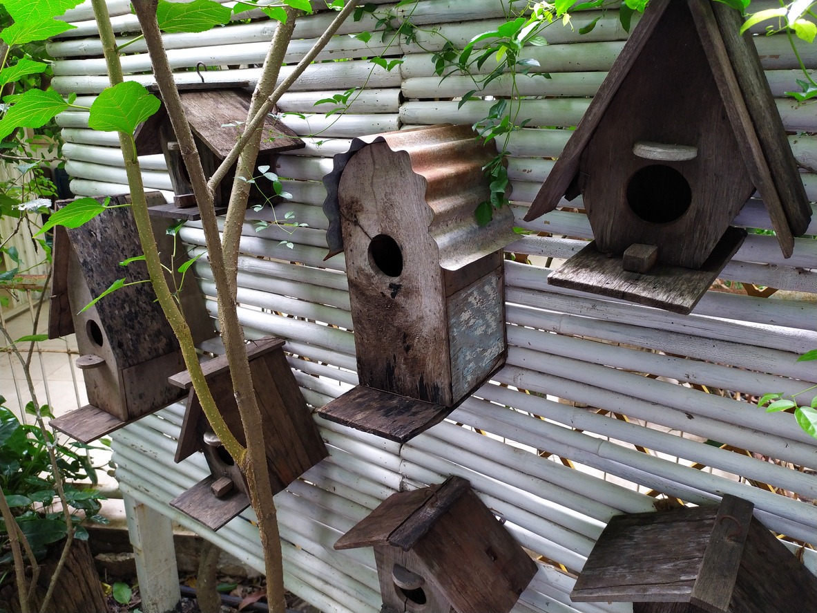 variety of birdhouses