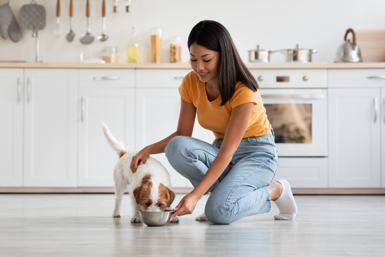 woman petting dog while eating